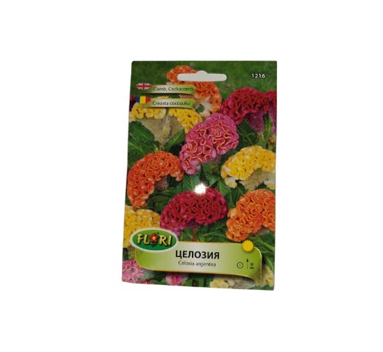 Super Seeds Celosia Argentea Cockscomb 200+ Pcs
