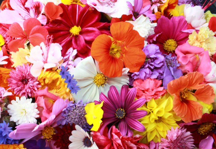 Super Seeds Annual Tasty and aromatic mixture Mix of edible flowers and herbs 50 Pcs