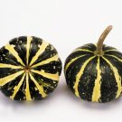 Super Seeds Cucurbita pepo Gourd Summer Squash Flat Striped 10+ Pcs