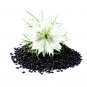Super Seeds Nigella sativa Herb Black Cumin 1000 Pcs