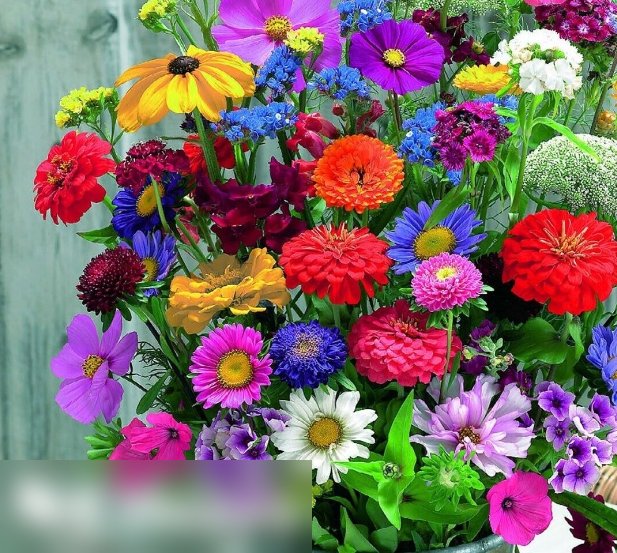 Super Seeds Fragrant Mixture Beautiful Flower 100 Pcs