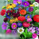 Super Seeds Fragrant Mixture Beautiful Flower 100 Pcs