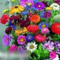 Super Seeds Fragrant Mixture Beautiful Flower 100 Pcs