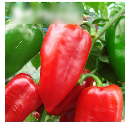 Super Seeds Sweet Pepper Sandra Dark Red Heart Shaped Vegetable Garden 70 Pcs