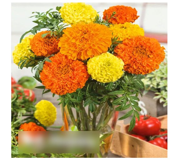 Super Seeds African Marigold Calando Dwarf Mix Beautiful Flower 100 Pcs