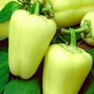 Super Seeds Sweet Pepper Citrina Pale Green Variety Vegetable 100 Pcs