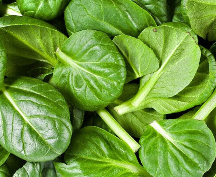 Super Seeds Spinacia oleracea Spinach Greta Vegetable Garden 200+ Pcs