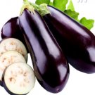 Super Seeds Aubergine Black Beauty Eggplant Vegetbale 300 Pcs