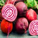 Super Seeds Beta Vulgaris Beetroot Chioggia Vegetable 600+ Pcs