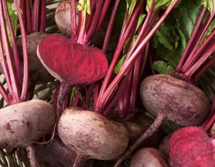 Super Seeds Egyptian flat beetroot Beetroot Kahira Vegetable 400 Pcs