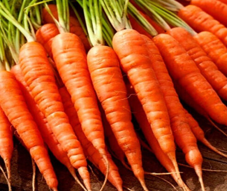 Super Seeds Carrot Olympus Vegetable 2000 Pcs
