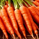 Super Seeds Carrot Olympus Vegetable 2000 Pcs