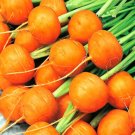 Super Seeds Paris Market Carrot Vegetable 3000 Pcs