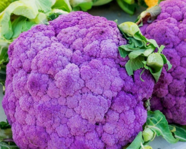 Super Seeds Purple Cauliflower Di Sicilia Violetto Winter Hardy Vegetable 50 Pcs