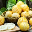 Super Seeds Cucumis sativus Crystal Apple Cucumber Vegetable 20 Pcs