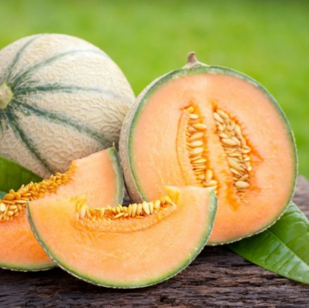 Super Seeds Melon Malaga Vegetable Garden 5 Pcs