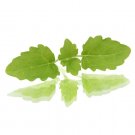 Super Seeds Lemon Balm Microgreens Vegetable Herb 700+ Pcs