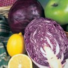 Super Seeds Cabbage Red Drumhead Vegetable Garden 300 Pcs