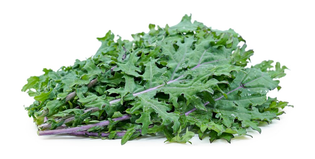 Super Seeds Kale Red Russian Vegetable Garden 1000 Pcs