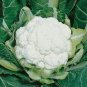 Super Seeds Cauliflower All Year Round Vegetable 300 Pcs