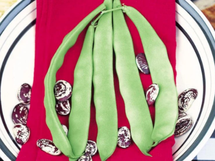 Super Seeds Bean lima o del papa Vegetable Garden 6 Pcs