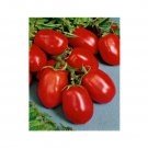 Super Seeds Tomato davis uc 82 Vegetable Garden 10 Pcs