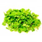 Super Seeds Perilla Shiso Green Microgreens Vegetable 500 Pcs