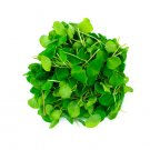 Super Seeds Buck Wheat Baby Leaves Microgreens Vegetable 900 Pcs