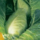 Super Seeds Cabbage Durham Early Spring Vegetable 700 Pcs