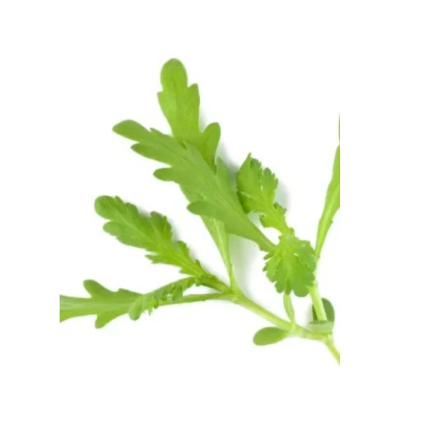 Super Seeds Micro chopsuey shungiku garland Herb Vegetable 1000 Pcs