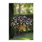 Super Seeds Pansy Trailing Winter Flowering Cool Wave Violet Wing Flower 5 Pcs