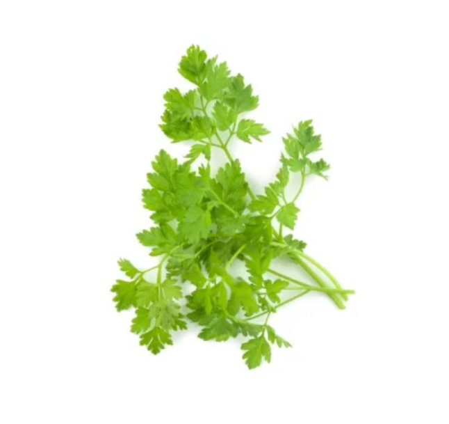 Super Seeds Chervil Plain Herb Vegetable 1000 Pcs