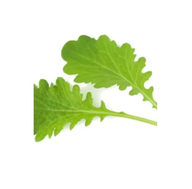 Super Seeds Mustard Pizzo Herb Vegetable 1000 Pcs