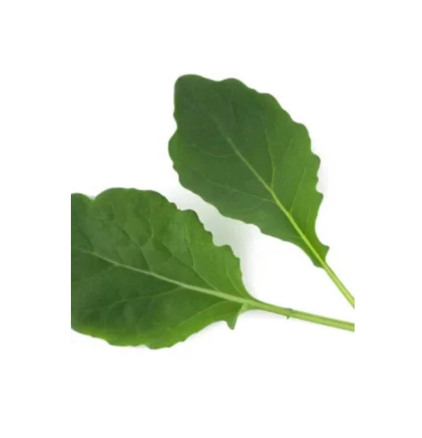 Super Seeds Cavolo Nero Nero Di Toscana Lacinato Kale Herb Vegetable 1000 Pcs