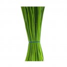 Super Seeds Chives Medium Leaf Herb Vegetable 1000 Pcs