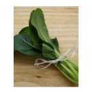 Super Seeds Choy Sum Fuubi Herb Vegetable 1000 Pcs