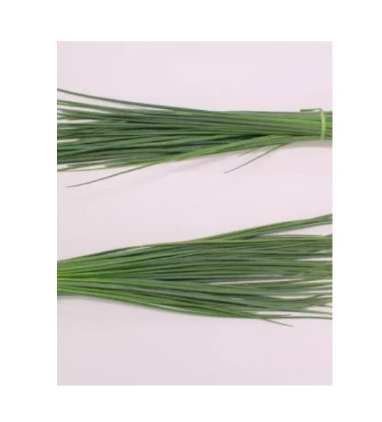 Super Seeds Chives Thick Leaf Herb Vegetable 1000 Pcs