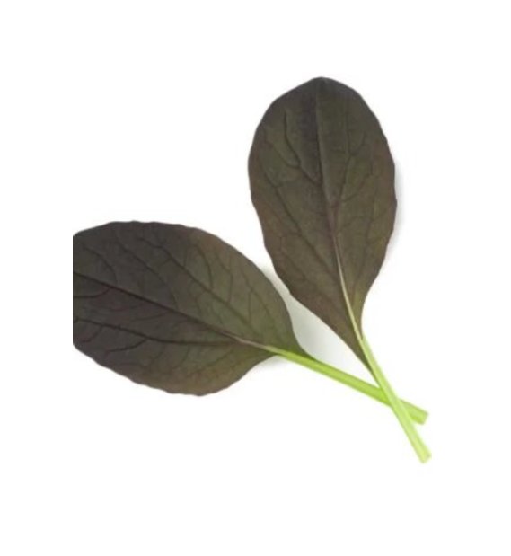 Super Seeds Pak Choi Red Lady Herb Vegetable 1000 Pcs