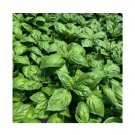 Super Seeds Basil Devotion Dmr Herb Vegetable 1000 Pcs