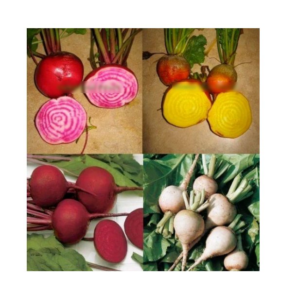 Super Seeds Tape Beetroot Rainbow Mix 6M Vegetable Garden 300 Pcs