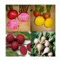 Super Seeds Tape Beetroot Rainbow Mix 6M Vegetable Garden 300 Pcs