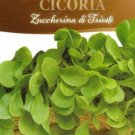 Super Seeds Chicory Zuccherina Di Trieste Vegetable Garden 1 Pcs