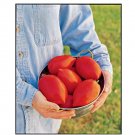 Super Seeds Tomato Big Mama Vegetable Garden 5 Pcs