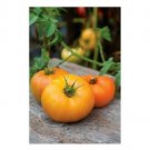 Super Seeds Tomato Orange Wellingtion Vegetable Garden 5 Pcs