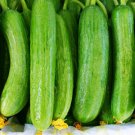 Super Seeds Cucumber Beth Alpha Vegetable Garden 15 Pcs