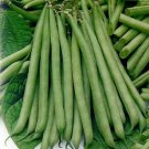 Super Seeds Dwarf French Bean Slenderette Vegetable Garden 200 Pcs