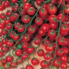 Super Seeds Tomato Cherry Sweet Million Vegetable Garden 10+ Pcs