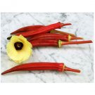 Super Seeds Okra Jing Orange Vegetable Garden 10 Pcs