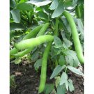 Super Seeds Broad Bean The Sutton Dwarf Vegetable Garden 20 Pcs