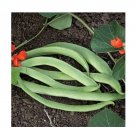Super Seeds Runner Bean Lady Di Vegetable Garden 10+ Pcs